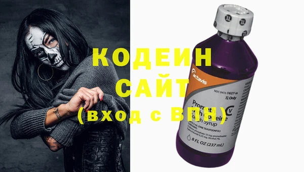 шишки Верея